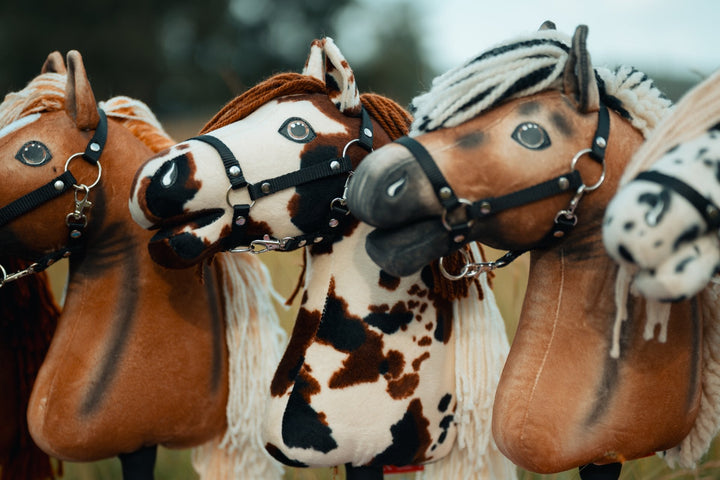Hobby Horses s čiernymi ohlávkami na amerických majstrovstvách Hobby Horse