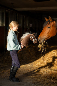 Lifestyle photo: a girl in a mint sweatshirt stands on straw in the stable aisle holding the Hobby Horse Alfredo with Black Halter by Hobby Horse LarDen - brown plush head with a light yarn mane - while a real bay horse looks out of its box, shown here with the Halter - light grey leatherette.
