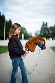 Dievča v tmavej mikine vedie Hobby Horse Pippa s čiernou ohlávkou od LarDen po pieskovej ceste popri kolbisku, gaštanová plyšová hlava a ryšavá priadzová hriva, s ohlávkou LarDen Blue s kožušinou a vodiacim lanom Bloom Blue