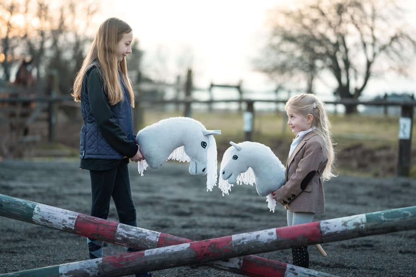 Ako vybrať správnu veľkosť Hobby Horse?