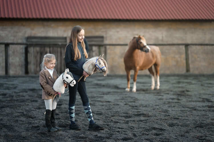 Čo je Hobby Horsing?