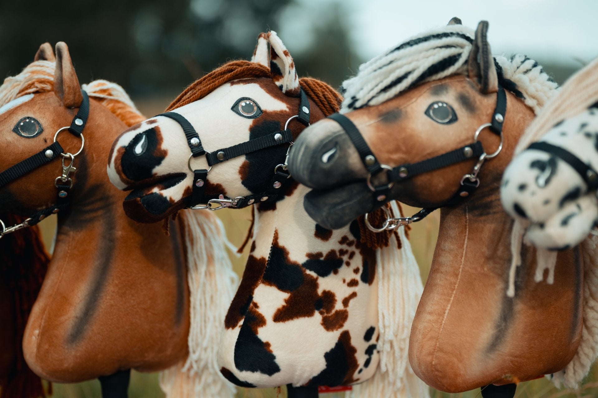 US Hobby Horse Championships 2026: America's Biggest Hobby Horse Event Is Almost Here