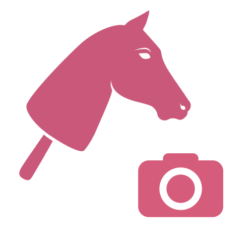 Ružová ilustrácia hlavy Hobby Horse na tyči nad ružovou ikonou fotoaparátu na svetlosivom pozadí.