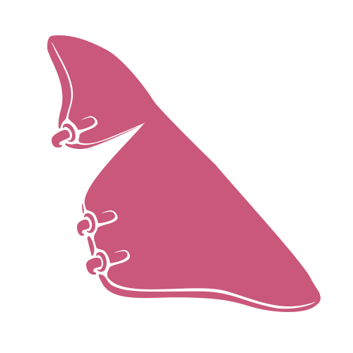 Minimalistická ilustrácia ružovej ruky tvoriacej písmeno B v americkom posunkovom jazyku na svetlosivom pozadí.