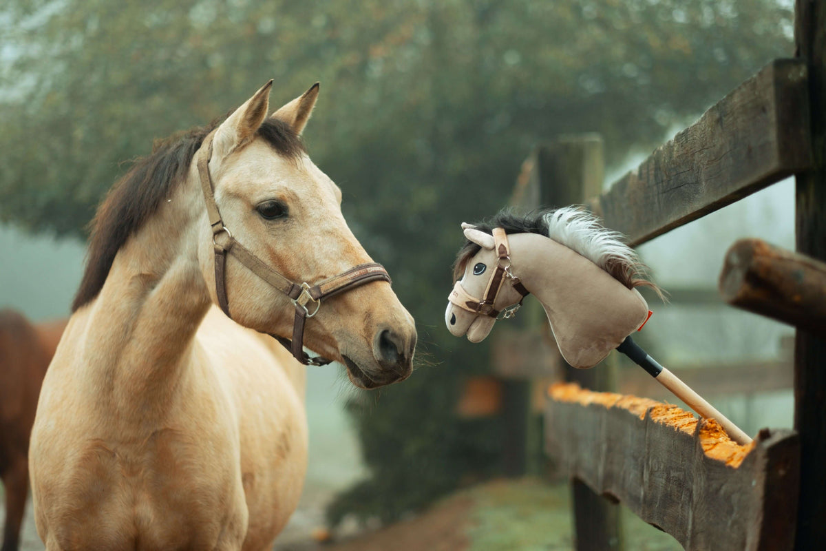 Plavý kôň s ohlávkou zvedavo hľadí na Hobby Horse opretého o drevený plot vonku za hmlistého dňa. V pozadí vidno stromy a ďalšieho koňa, čo navodzuje hravého ducha Hobby Horsingu.