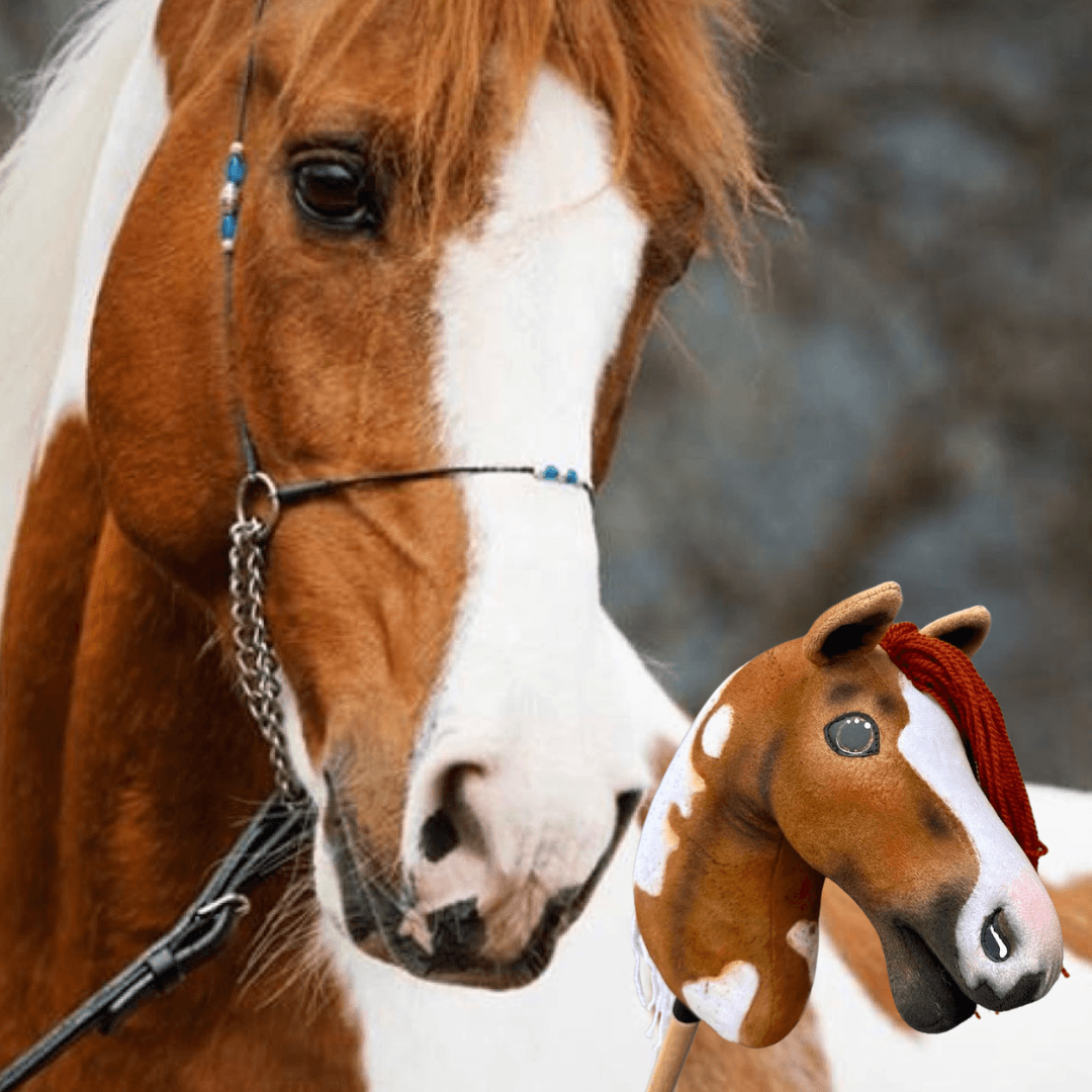 Detailní záběr ukazuje skutečného hnědobílého koně s uzdečkou vedle hračky Hobby Horse LarDen „Hobby Horse Koník podle fotografie“ s červenou přízovou hřívou a odpovídajícími znaky. Rozostřené pozadí zvýrazňuje jejich podobnost.