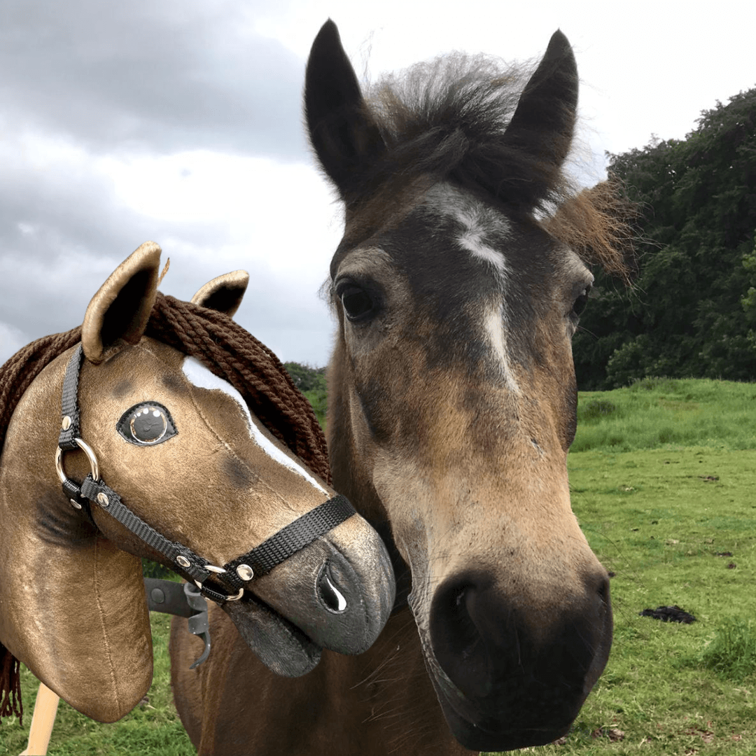 Skutečný hnědý kůň stojí vedle zakázkového „Hobby Horse Koník podle fotografie“ od Hobby Horse LarDen, oba čelem ke kameře na travnatém poli pod zataženou oblohou.