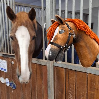 Hobby Horse Koník podle fotografie