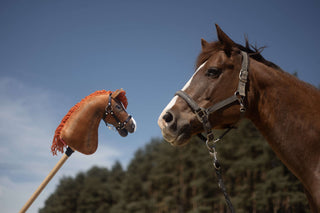 Hobby Horse Koník podle fotografie