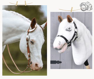 Hobby Horse Koník podle fotografie