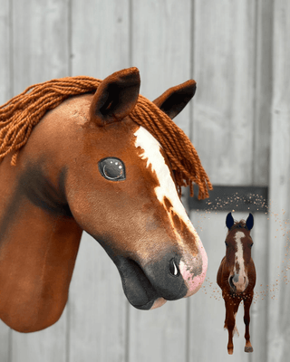 Hobby Horse Koník podle fotografie