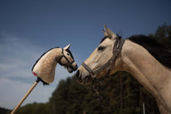 Skutočný kôň s ohlávkou sa vonku dotýka nosom béžového Hobby Horse LarDen „Hobby Horse Koník podľa fotografie“; v pozadí sú stromy a modrá obloha.