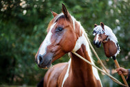 Hobby Horse Koník podľa fotografie od Hobby Horse LarDen držaný osobou vedľa hnedobieleho koňa s lanovou ohlávkou. Obaja stoja pred zeleným rozmazaným lístím. Tento Hobby Horse na zákazku sa skutočnému koňovi veľmi podobá.