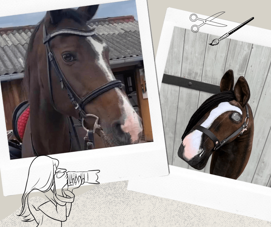 Ve stylu polaroidů jsou zobrazeni skutečný hnědý kůň s bílou lysinou a jeho odpovídající zakázkový „Hobby Horse Koník podle fotografie“ od Hobby Horse LarDen, spolu s ilustrovanými nůžkami, perem a osobou fotografující v pozadí.