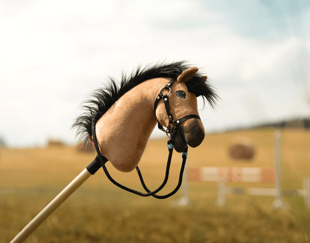 Detailný záber na hračku pre Hobby Horsing: Hobby Horse so svetlohnedou tvárou, čiernou hrivou a uzdečkou, nasadený na drevenej tyči, vonku v rozmazanom poli s balíkmi sena a lavičkou v pozadí.