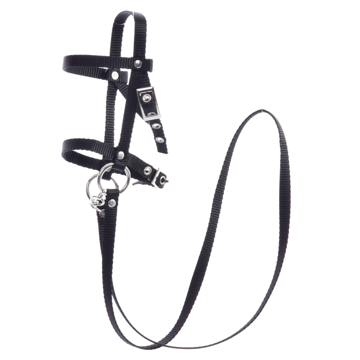 Čierna uzdečka s oprátami z popruhu od Hobby Horse LarDen je navrhnutá pre malé zvieratá a má nastaviteľné remienky s kovovými prackami a krúžkami. Ideálna ako uzdečka pre Hobby Horse, táto sada obsahuje opraty a je zobrazená na bielom pozadí.