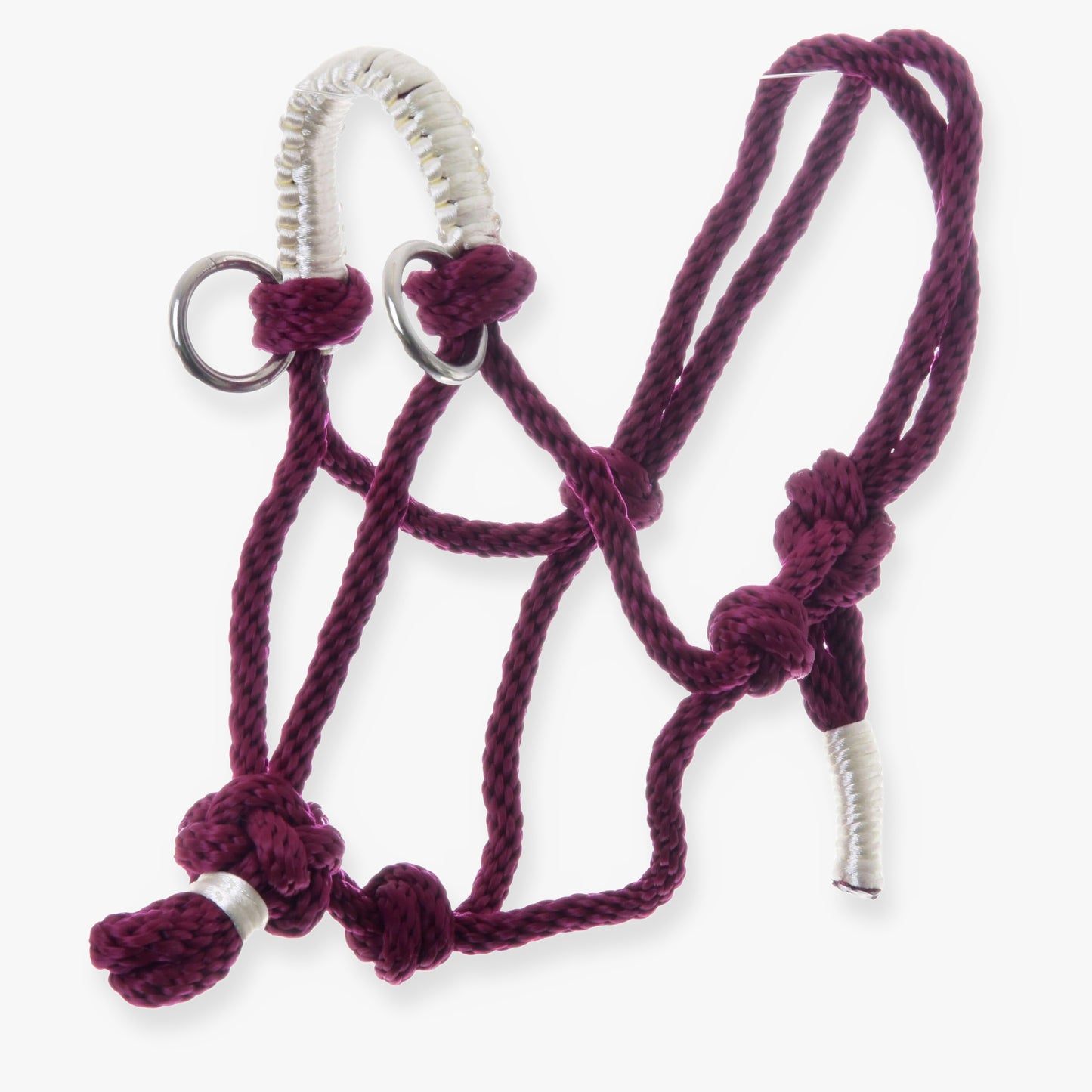 Parelka Czi-Czi od Hobby Horse LarDen, vínová povrazová ohlávka s bielymi omotanými akcentmi a kovovými krúžkami, na čistobielom pozadí.