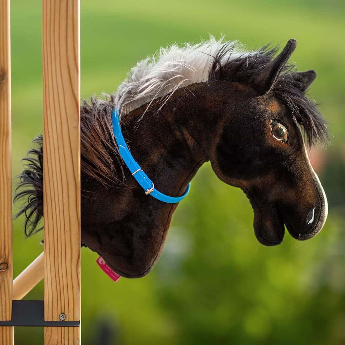 Detail čiernej hlavy Hobby Horse s modrou ohlávkou a bielou hrivou pripevnenej k drevenej konštrukcii na rozostrenom zelenom vonkajšom pozadí – perfektný pre nadšencov do Hobby Horsingu.