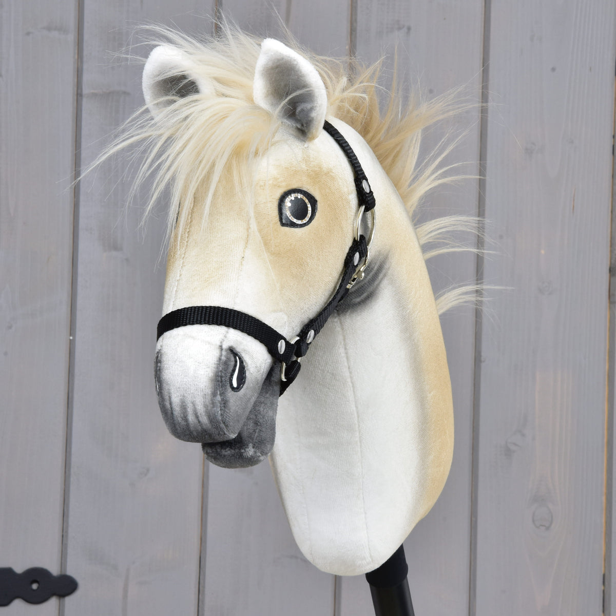 Hobby Horse Honey Pearl s čiernou ohlávkou - veľkosť S od Hobby Horse LarDen, plyšový Hobby Horse v štýle oldenburského koňa s béžovou hrivou, sivým ňufákom a čiernou ohlávkou, nasadený na tyči pred sivou drevenou stenou.