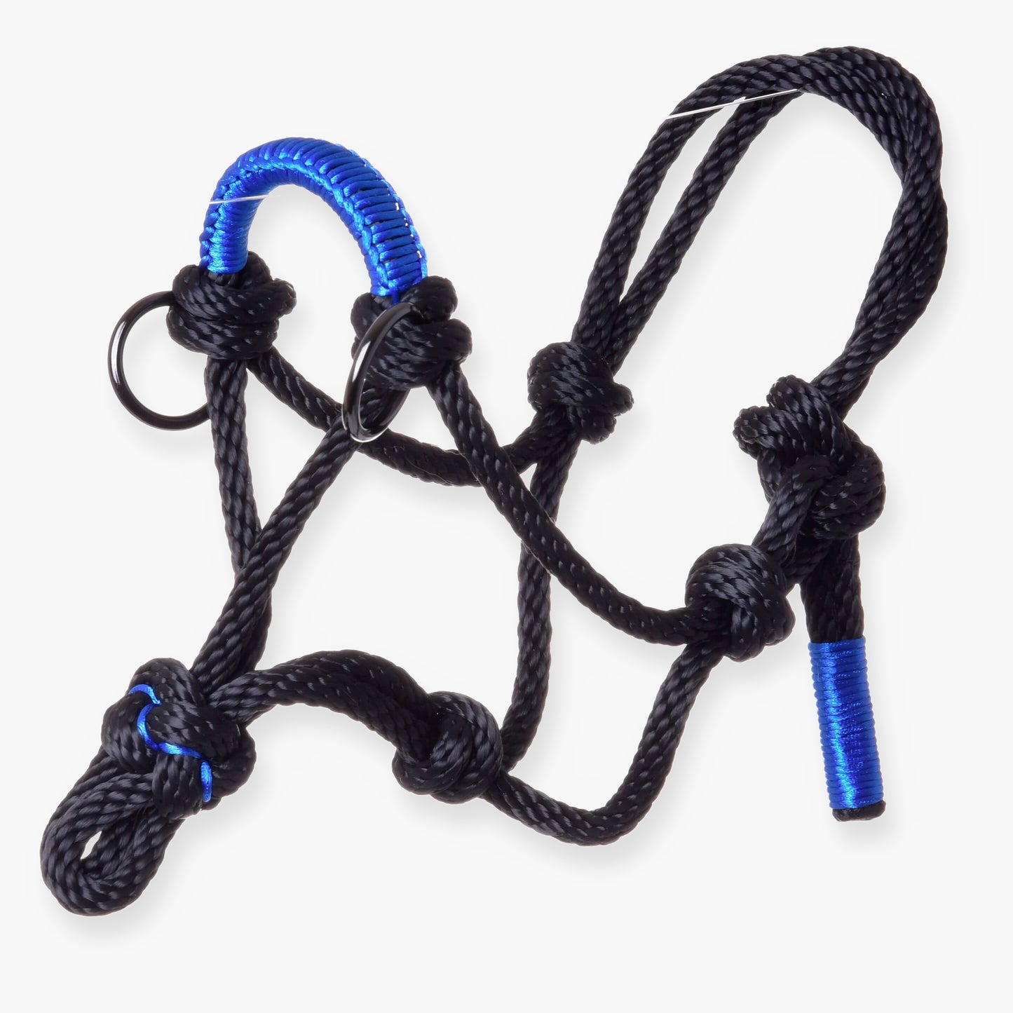 Parelka Azure od Hobby Horse LarDen, čierna povrazová ohlávka s modrými akcentmi a kovovými krúžkami, perfektná ako štýlový doplnok pre tvoj Hobby Horse.