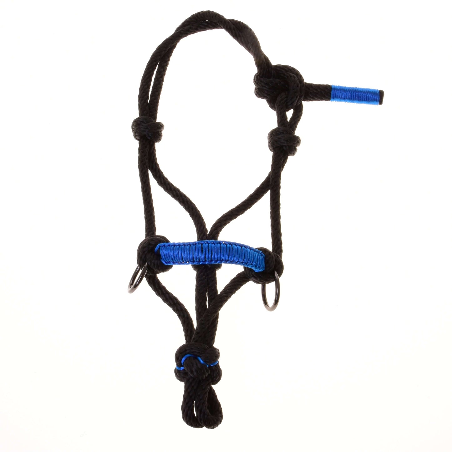 Parelka Azure od Hobby Horse LarDen, čierna povrazová ohlávka s modrými akcentmi a kovovými krúžkami, vytvorená ako štýlový doplnok pre Hobby Horse a zobrazená na bielom pozadí.