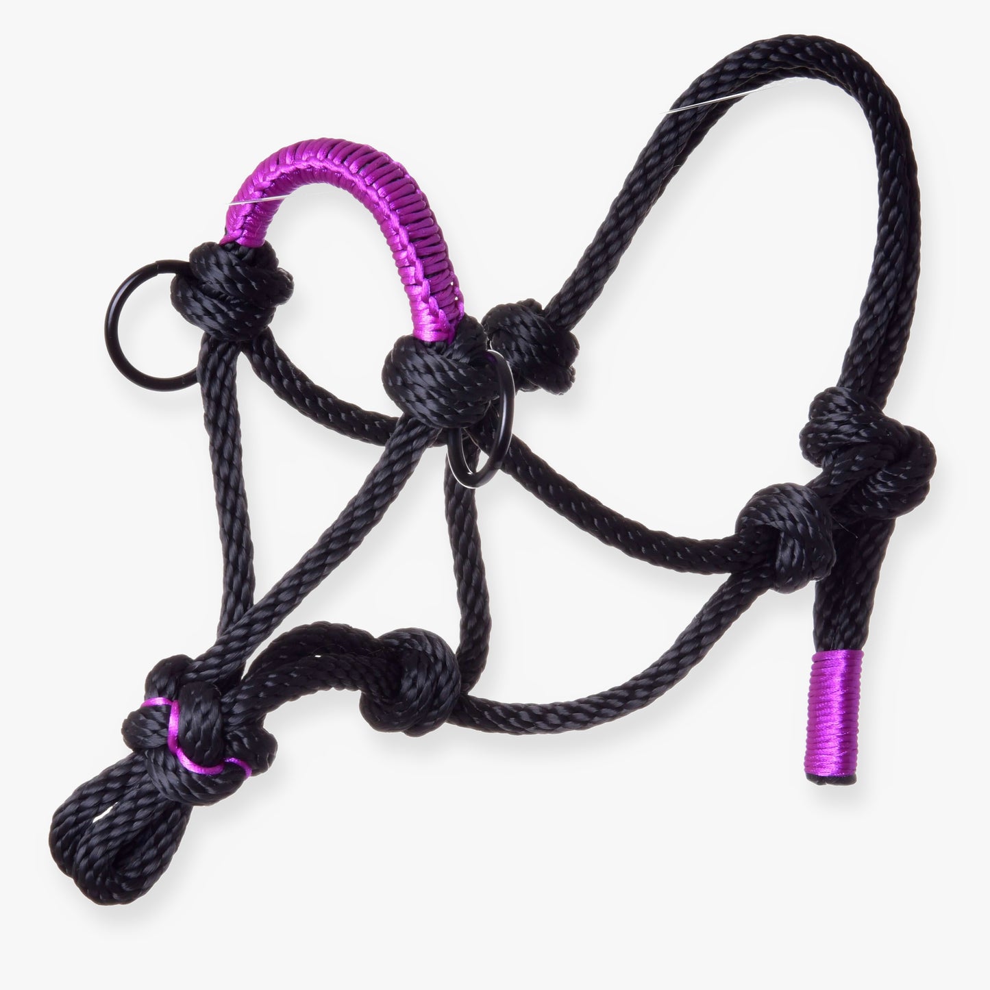 Parelka Violette od Hobby Horse LarDen, černá ohlávka s fialovými akcenty, s více uzly a kroužky – všestranný doplněk pro vedení, trénink nebo použití pro Hobby Horse.