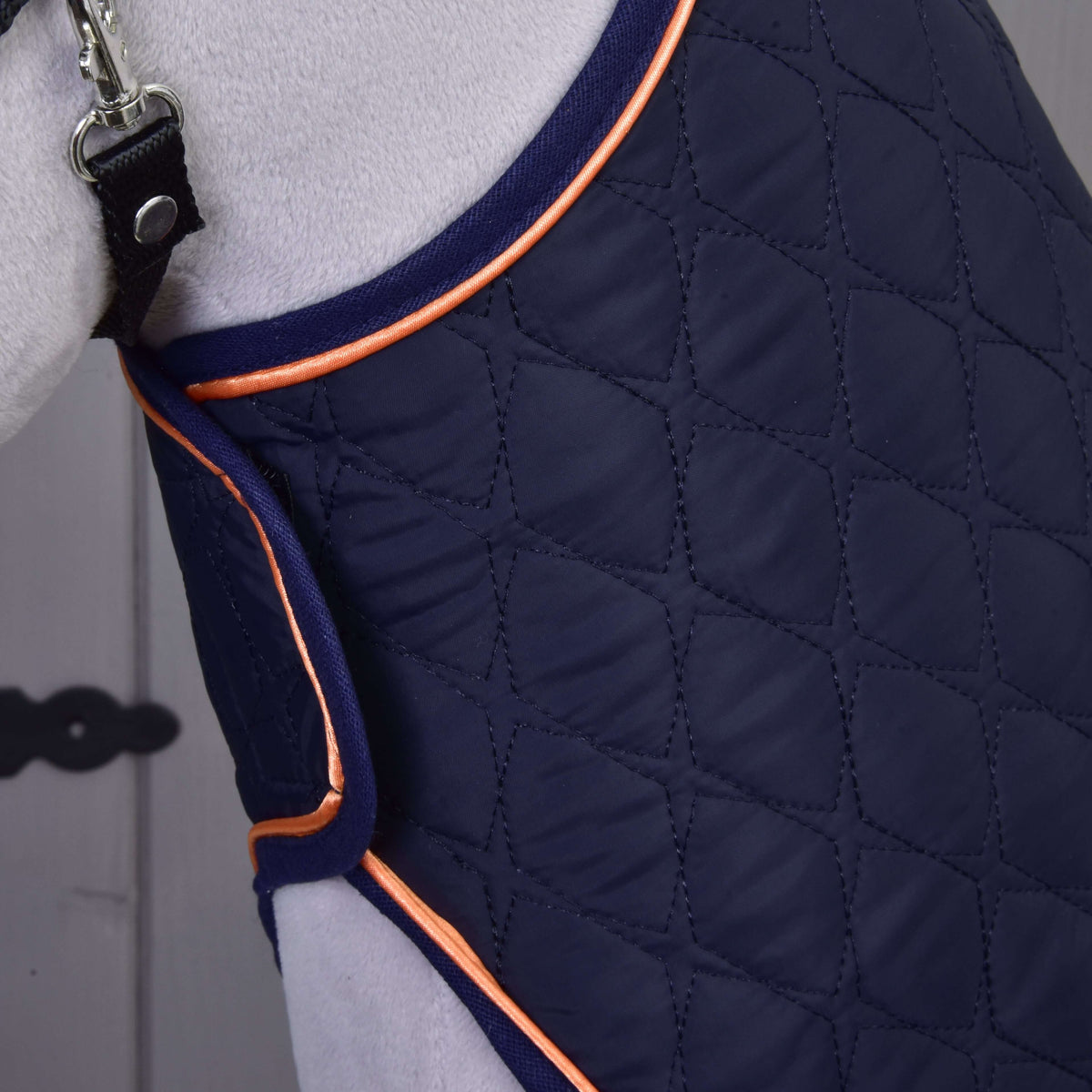 Detail psa v plášti Set Winner od Hobby Horse LarDen, prešívanom tmavomodrom modeli s oranžovým lemovaním, zapnutom čiernym pásikom a kovovou prackou, so svetlou srsťou psa.