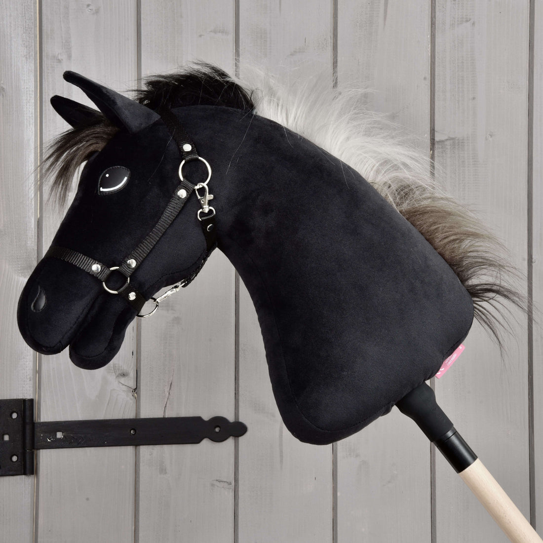 Hobby Horse Bond s čiernou ohlávkou
