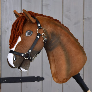Hobby Horse Cooper s čiernou ohlávkou