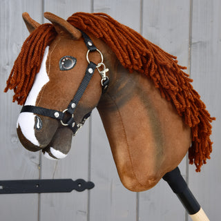 Hobby Horse Cooper s čiernou ohlávkou