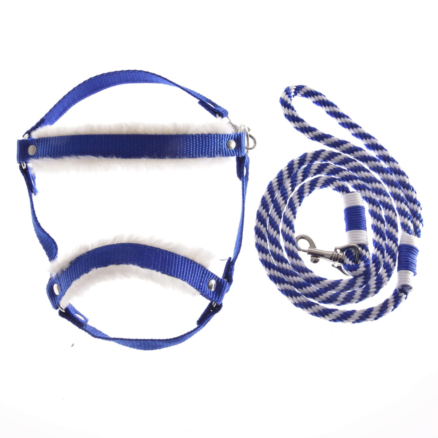 Set Essential Blue od Hobby Horse LarDen s modro-bielym polstrovaným postrojom inšpirovaným konskými ohlávkami, doplnený ladiacim pruhovaným vodidlom, oboje úhľadne zobrazené na bielom pozadí.