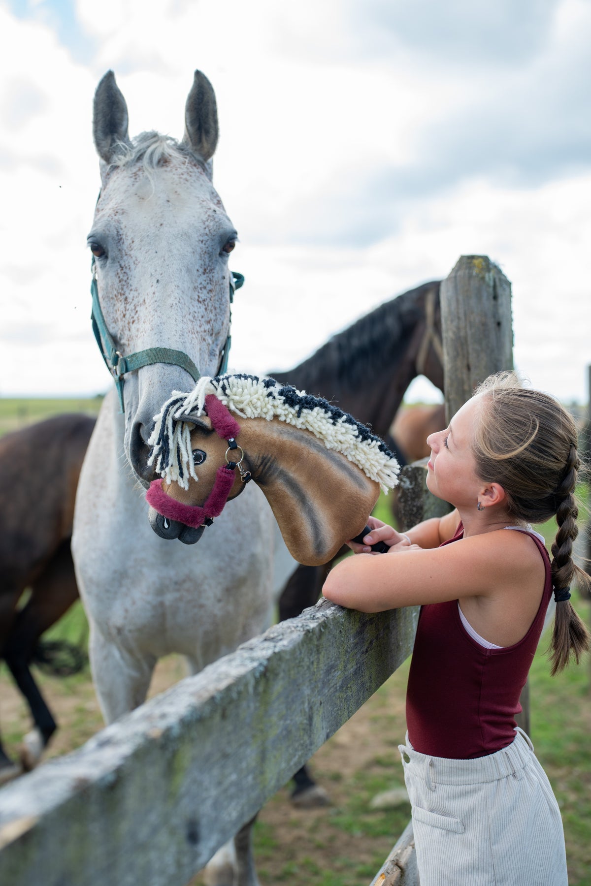 Dievča v bordovom tričku sa nakláňa cez ohradu výbehu a dvíha Hobby Horse Ozzy s Black Halter od Hobby Horse LarDen k skutočnému sivému koňovi – hnedá plyšová hlava, krémová a čierna priadzová hriva – s halterom Teddy Maroon podšitým kožušinou