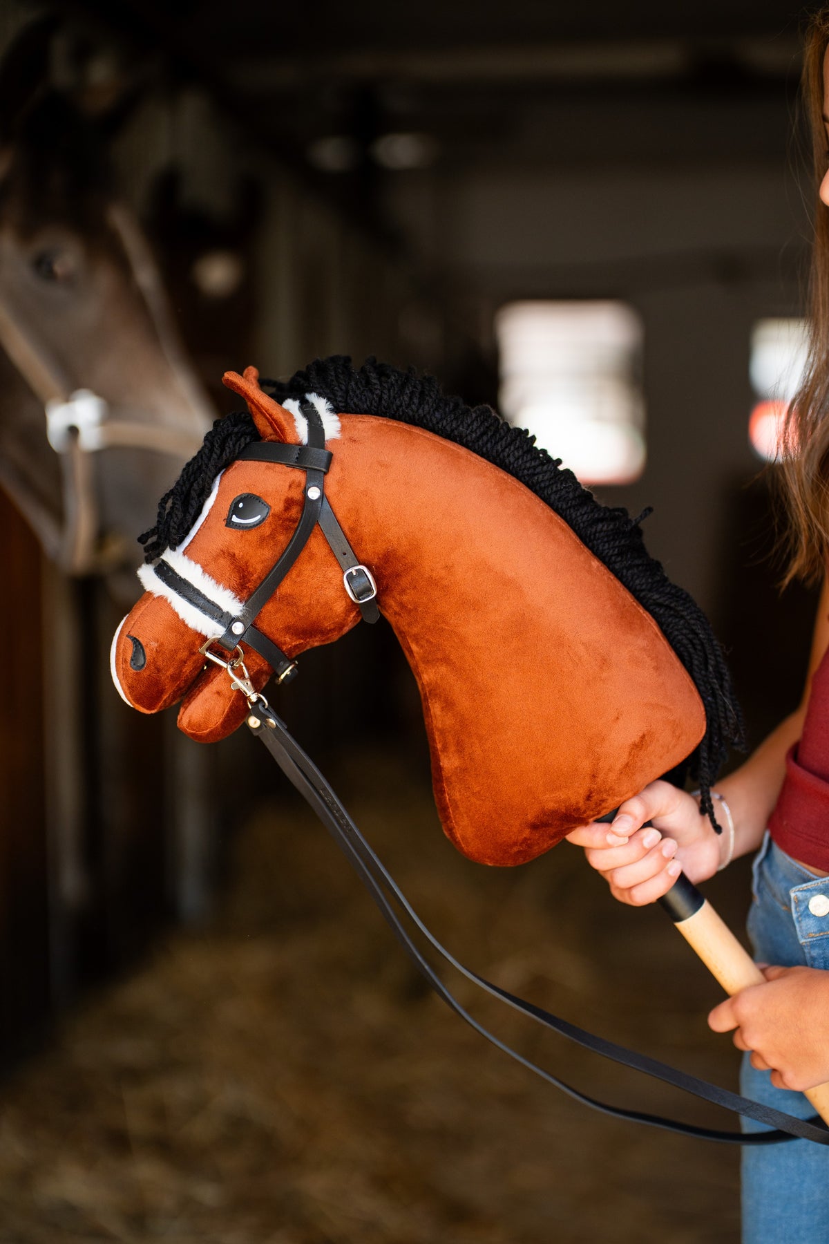 Hobby Horse Rocky s čiernou ohlávkou držaný v stajni, s čiernou uzdečkou, oťažami a bielymi znakmi na tvári