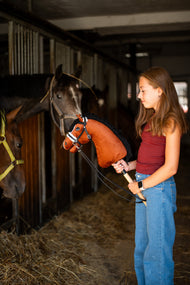 Dievča v tmavočervenom tričku stojí v uličke stajne a drží Hobby Horse Rocky od Hobby Horse LarDen, zatiaľ čo z boxov pozorujú skutočné kone, s gaštanovohnedou plyšovou hlavou, bielou lysinou a čiernou hrivou z priadze, s čiernou kompletnou uzdečkou s kožušinou a opratami