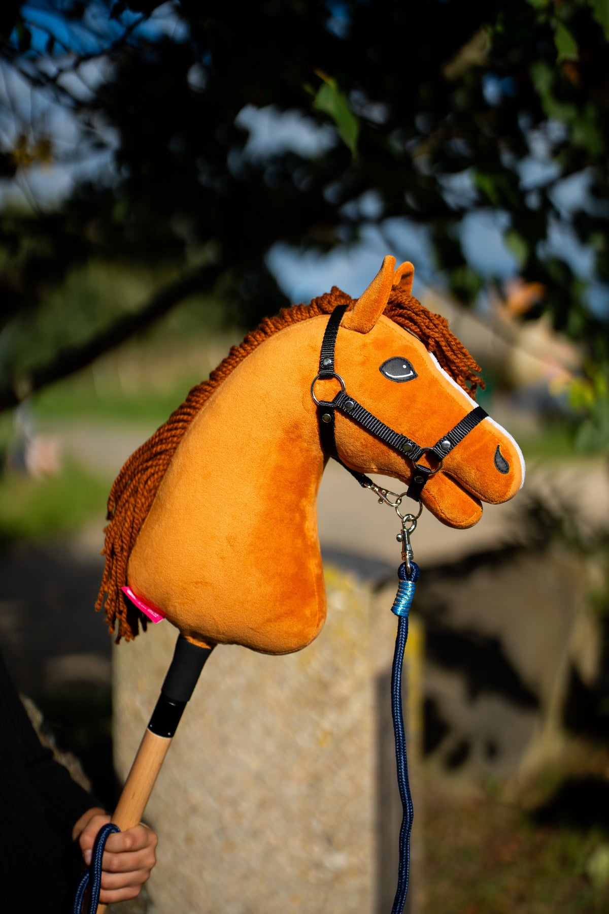 Pruhované lanové vodítko Hobby Horse Blues pripnuté k ryšavému Hobby Horse s čiernou ohlávkou vonku